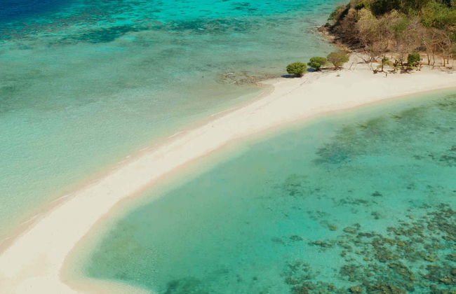 Malcapuya, Ditaytayan & Coco Islands Tour - Foto 2