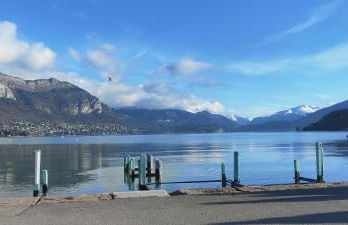 C le birdie - Foto 47