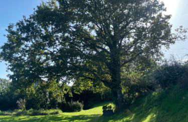 Gîtes d Izel N1 entre terre et mer prés d'un golf - Foto 76
