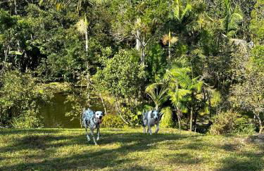 Casa de campo com cachoeira no quintal - Foto 26
