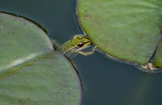 Château du Loroux - Photo 14