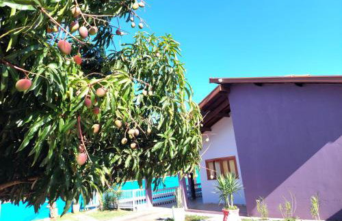 Temporada Belas Casas - Foto 62