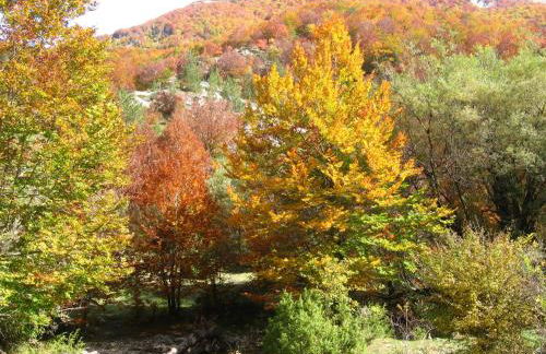 Principe di Napoli - Foto 18