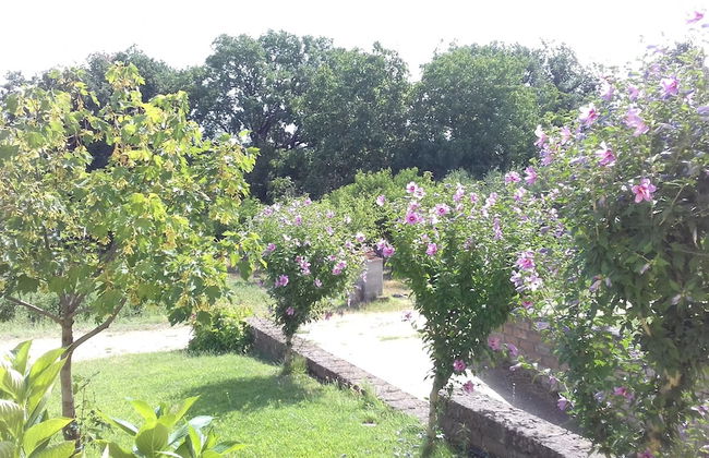 Agriturismo Le Quattro Stagioni - Foto 37