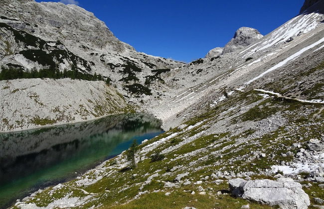 Balmy Apartment in Bohinjsko Jezero near Lake - Foto 40