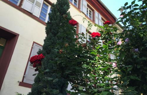 Im Herzen der Altstadt - Foto 15