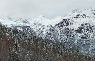 La Casa ai piedi del curò - Foto 32