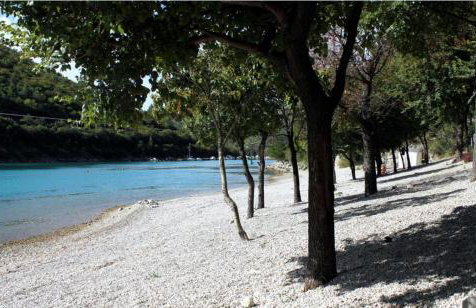 Studio Elvis - Foto 19