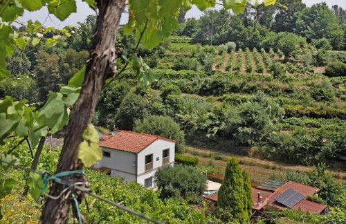 Quinta Da Cevidade - Foto 51