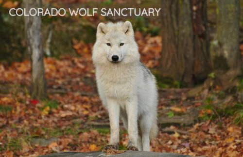 The Aspen Ridge Stargazer - Foto 61