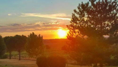 Casa dei Pini - Foto 4, Garden