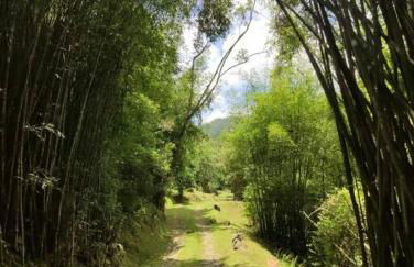 Linda casa em Visconde de Mauá perto da cachoeira - Foto 24