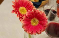 Memorie1 Lust auf Zuhause Ferien in der Provinz - Foto 10