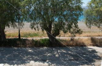 Polichnitos Paradise Stay - Photo 43