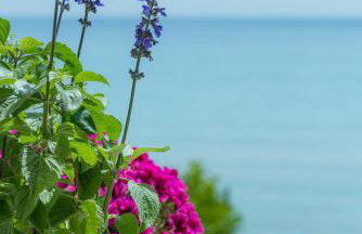 Waves Apartments Melody Glyfada - Foto 39