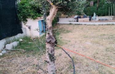 Casetta 28 passi dal mare - Foto 8