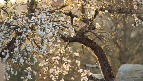 Domek Umilenia - Foto 2