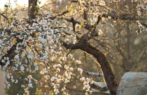 Domek Umilenia - Foto 2