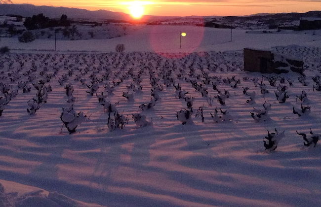 Casa Miret - Foto 33