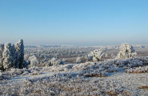 Ferienwohnung Heide View - Foto 49