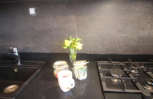 Cozy renovated designer appartment with special price winter 2026 - Foto 59