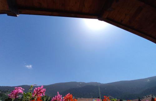 Al Truciolo - Foto 28