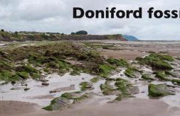 Court Farm Holiday Bungalows Ltd - Photo 46