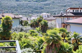 Fortuna's quiet place - Foto 15