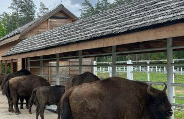 STACJA RUDA - Foto 4