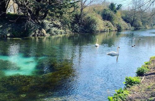 Canal view 2 bedrooms end of terrace - Foto 1