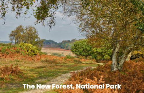 Cosy Retreat Near New Forest - Foto 41