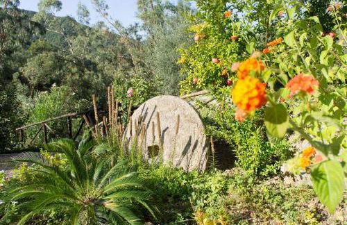 Agriturismo a Canonica - Foto 29