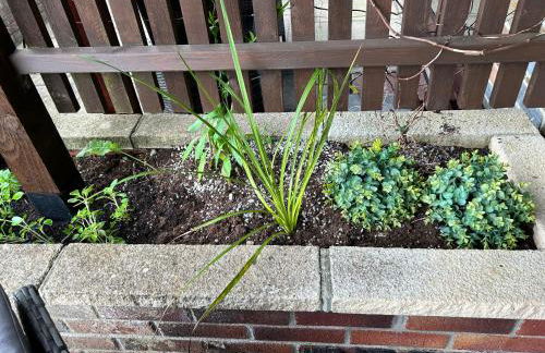 Looe, Cornwall, Cottage, couples, romantic, quiet location, views, reliable Wi-Fi - Foto 46