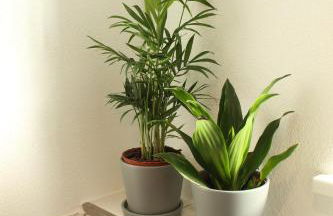 Ferienwohnung Andergasse - Foto 19