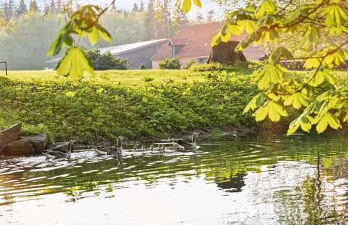 GUT KLETKAMP "Storchennest" - Ferienwohnung im Schlossturm mit 3 Schlafzimmern I Panorama-Turmzimmer mit Naturblick I Gemeinschaftsgarten I 15 Min zur Ostsee I Küche I Parkplatz I WLAN - Foto 16