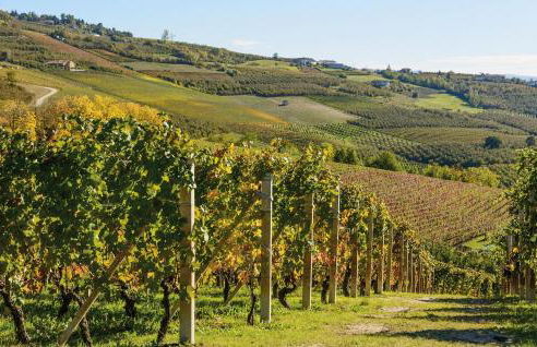 Awesome Home In Loazzolo With Wifi - Foto 34