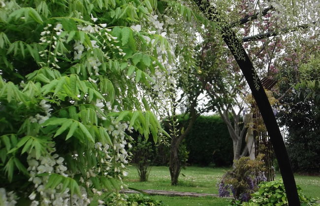 Son de Mar Hotel rural & Apartamento - Foto 32