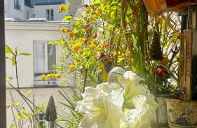 Marais Picasso - Appartement de 40 m2 - Foto 15