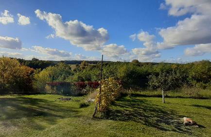 Przystanek Bajka w Puszczy Zielonce - Foto 19