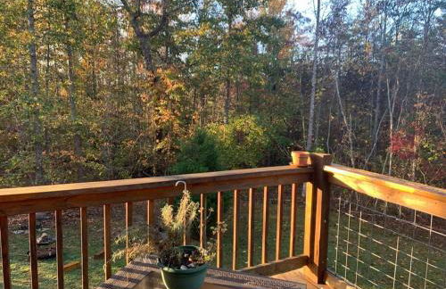 luxury Dear Tryon Cabin by TIEC in Green River Highlands - Foto 23