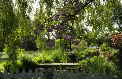 Willow Cottage - Photo 7