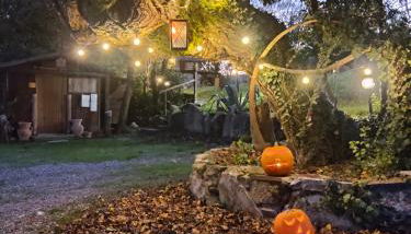 Agriturismo grecinella - Foto 3