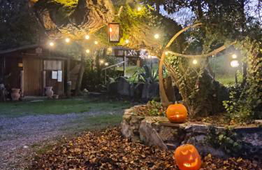 Agriturismo Grecinella - Foto 6