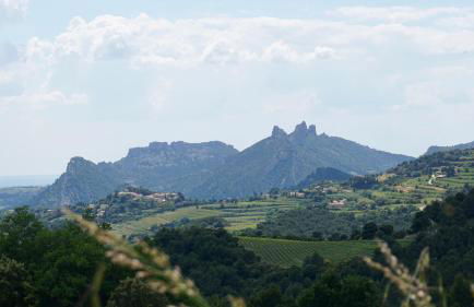 La belle histoire Gîte Montmirail - Foto 29