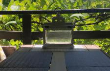 Queen bee's nest - Foto 18