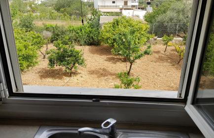 Beautiful one bedroom apartment - Foto 2