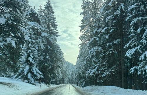 Grande Maison Du Coeur Champoluc Spa,Gym e Aree Relax - Foto 11