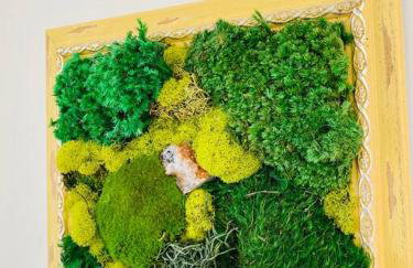 Modern House on 5 acr in Sequoia National Forest - Foto 71