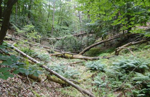 Siedlisko Na Szlaku Odry - Foto 31