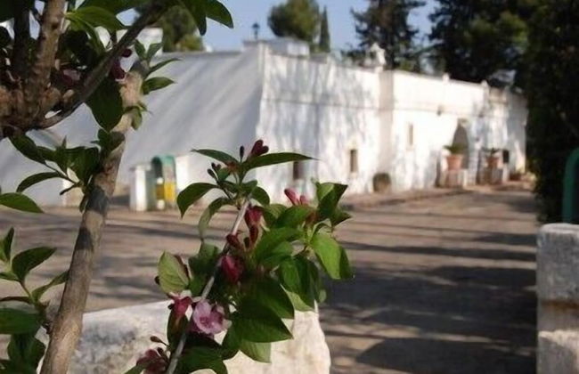 Masseria Don Sante - Foto 14